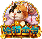 給貓金幣